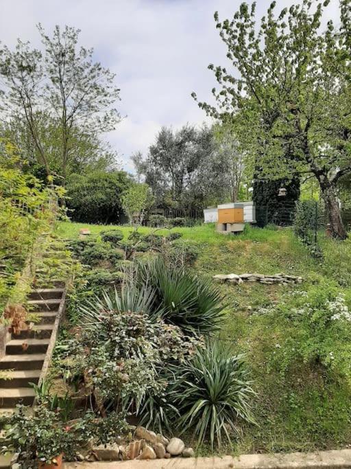 Le 16 Villa Toulouse Exterior foto
